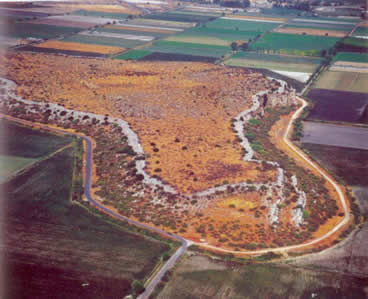 the site from the air